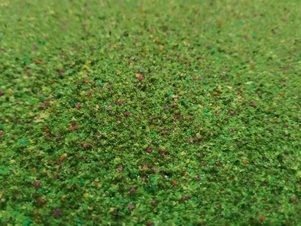 Pasto Lamina Verde Claro