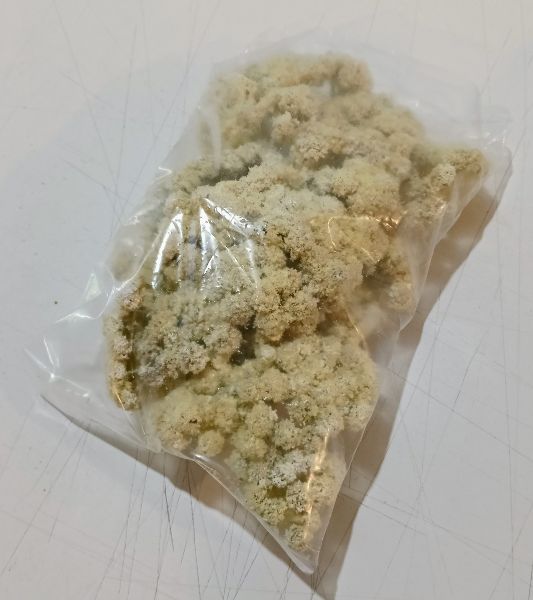 Árbol Bola Blanco - Imagen 2