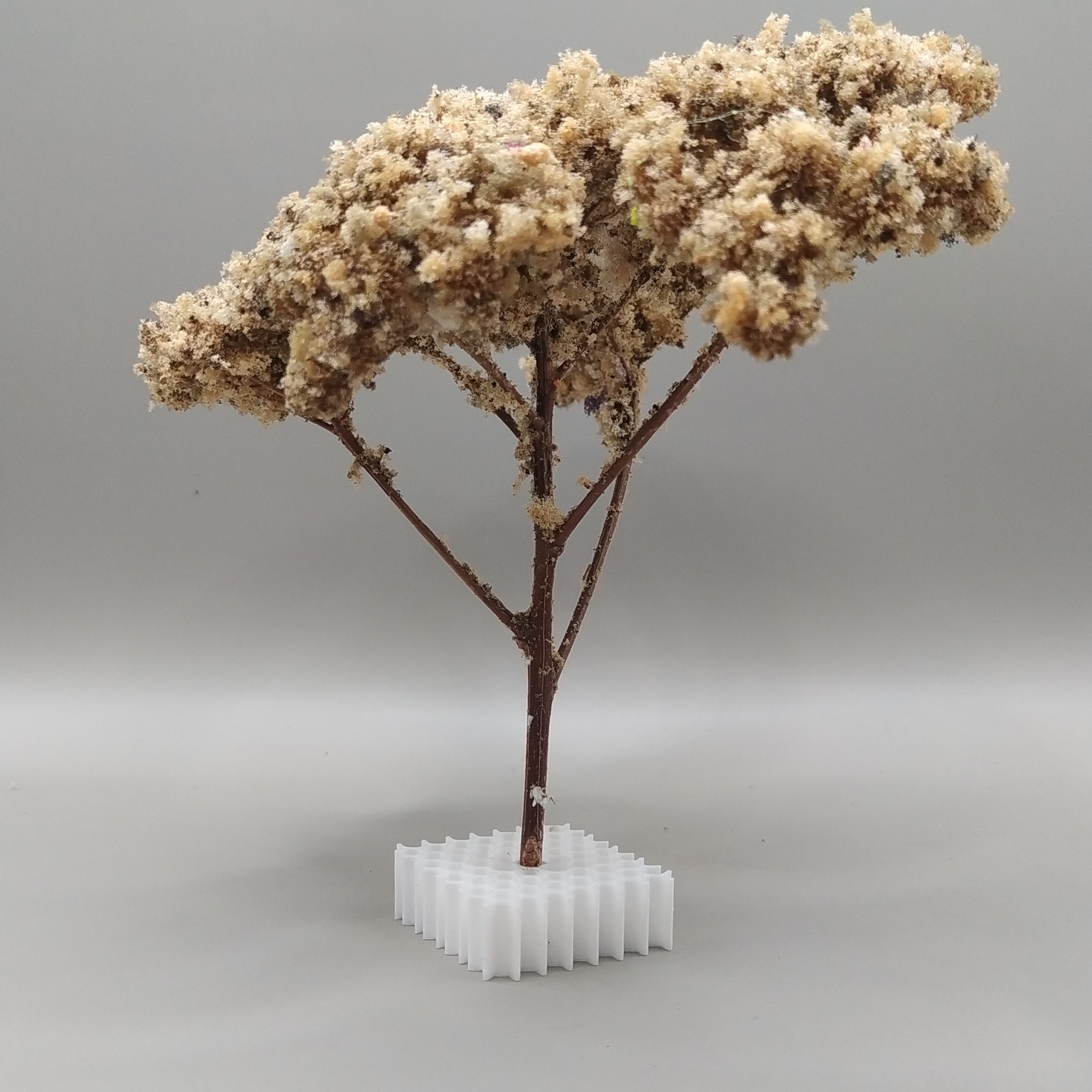 Arbol Bola