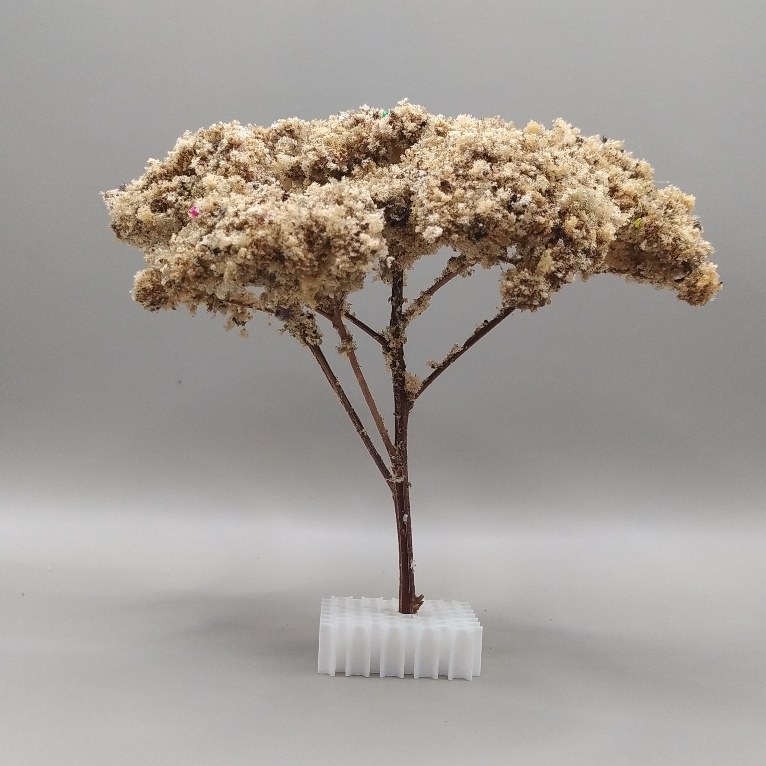 Arbol Bola - Imagen 2