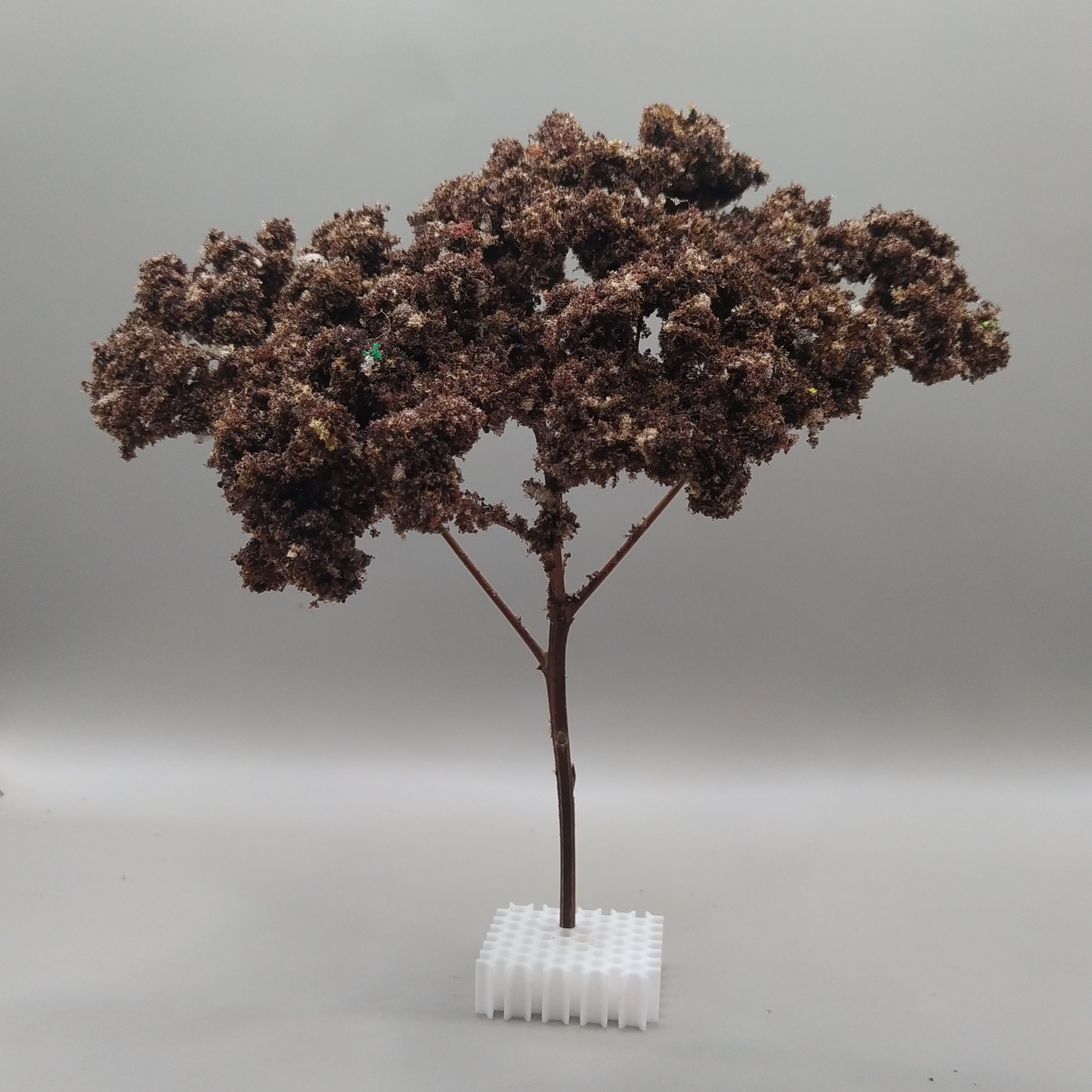Arbol Bola - Imagen 2