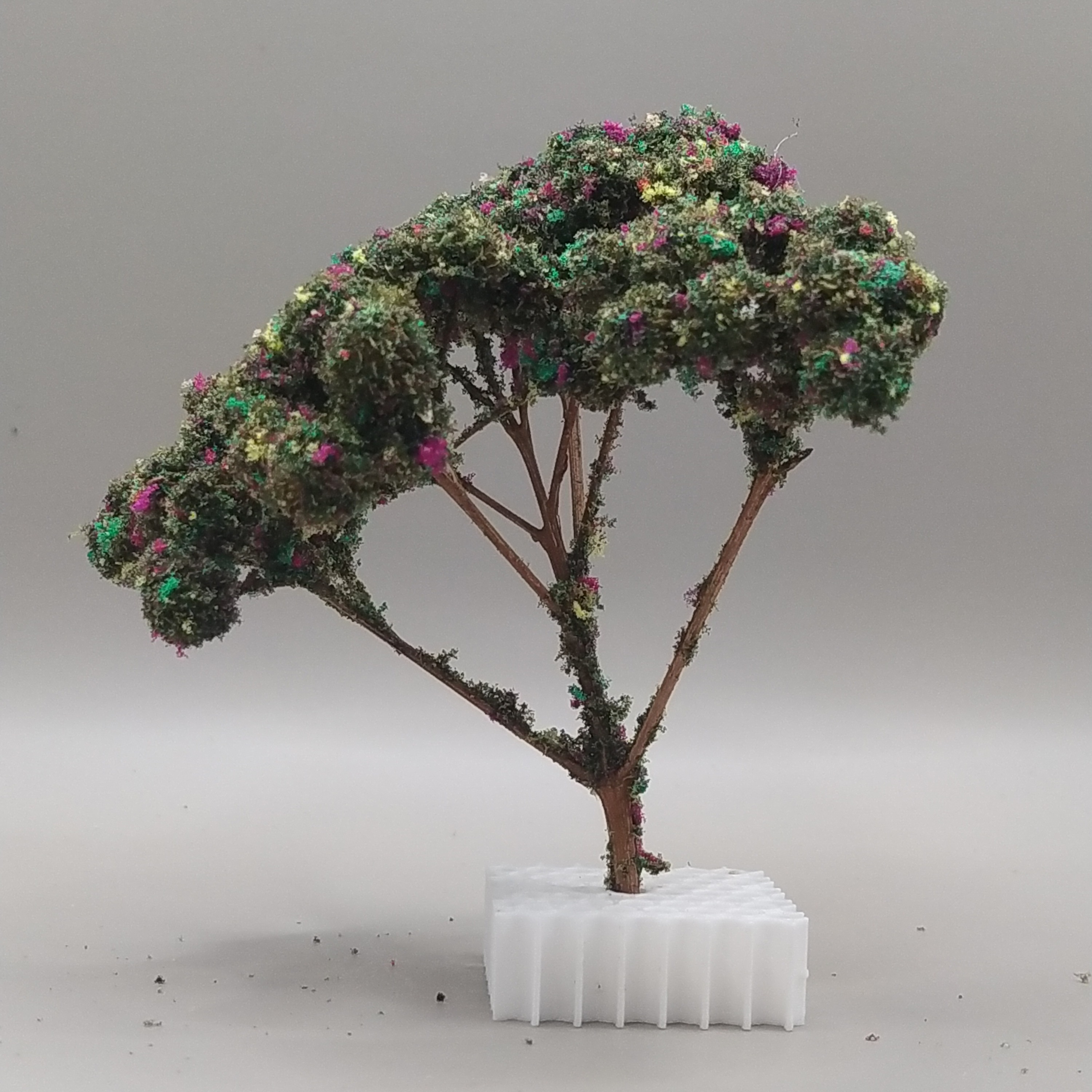 Arbol Bola - Imagen 2