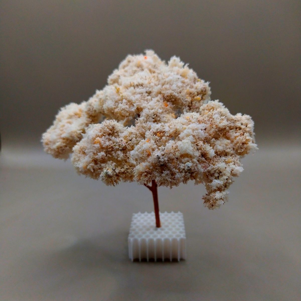 Arbol Bola