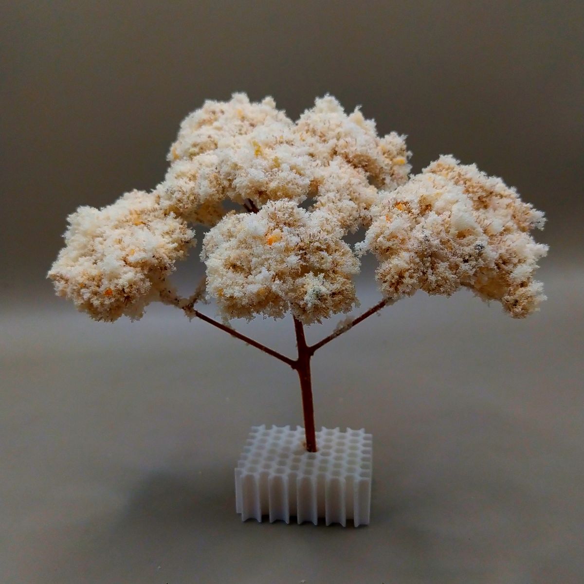 Arbol Bola - Imagen 2