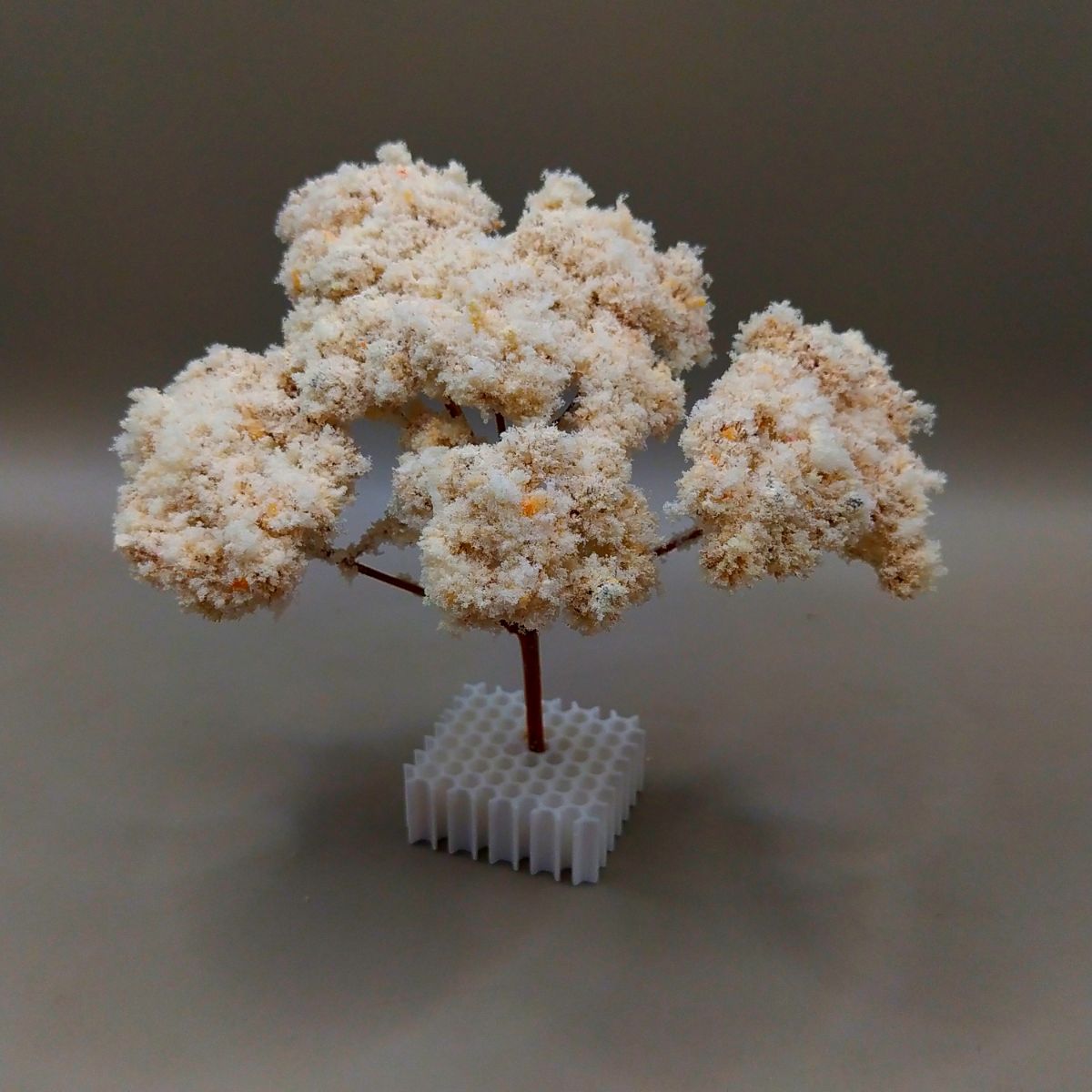 Arbol Bola - Imagen 3